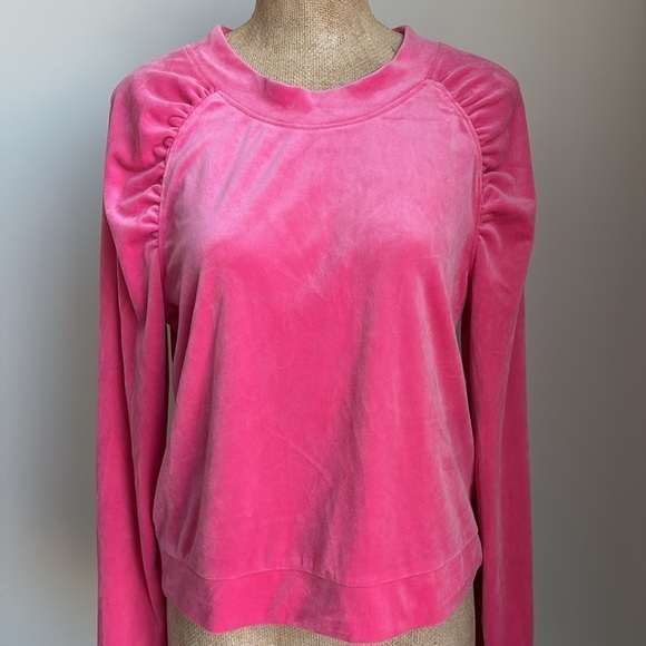 Anthropologie Saturday Sunday Merida Velvet Sweatshirt SMALL - Picture 6 of 7